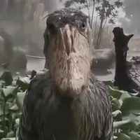 This is a cry for help