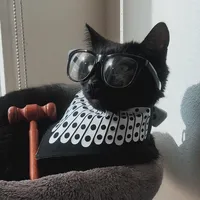 original sound - jolene_pouncing9to5
