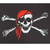 jollyroger501