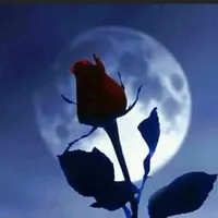 original sound - lilylily4926