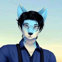 moonlightfoxfilms