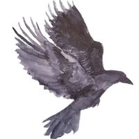 theferalbones