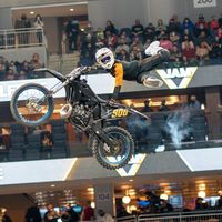desmond_fmx