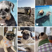 original sound - narvaezlucia1