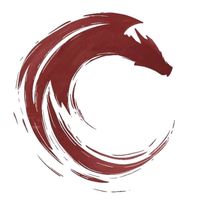 painteddragonstudios