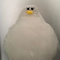 pinto.the.obese.bird