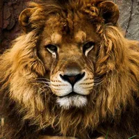 original sound - stevesjbryan