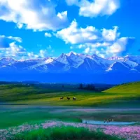original sound - shinescenery