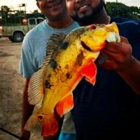 akashsportsman