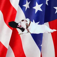 original sound - daylonbishop635