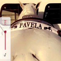 martinfavela2581