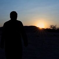 الصوت الأصلي