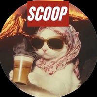 scoop24.7
