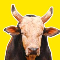 paixaodorodeioofc