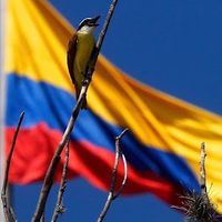 libre_oposicion