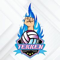tekken.voley.club