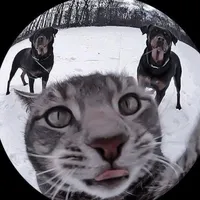 be my baby by the ronettes