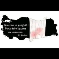 orijinal ses