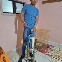 juan.luis.mh