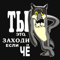 tiktokmir