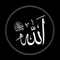 elshamy.222