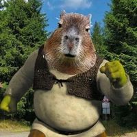 original sound - capycare