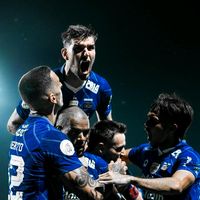 persibfans133
