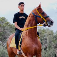 ali_bashir6