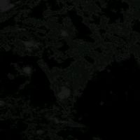 280108_6