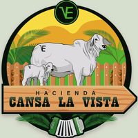 victoreliecerochoa