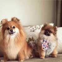 original sound - lulusclosetmoda