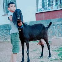 abdullah_beydar63