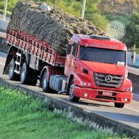 som original - revinfilms