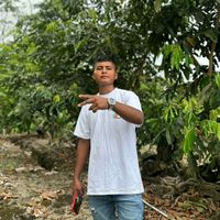 sonido original