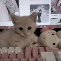 большая перемена