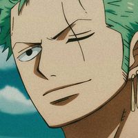zoro.sola130