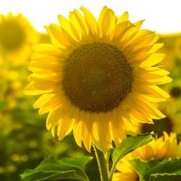 liveforgodandnoftheworld