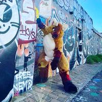 furrinfoxdoe