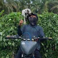 original sound - cahangon1301