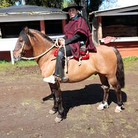 nikkoalbornozrodriguez