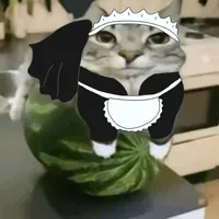 Так погади ка