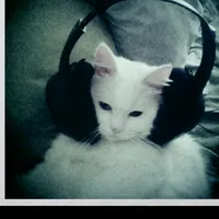 original sound - escucha_otravez