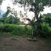 yuliana221220