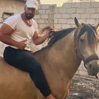 original sound - ayyoubbenrkia