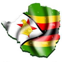 zim.trending.stories
