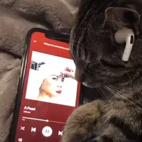 original sound - audiosformintpeople