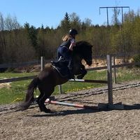 sweden.equestrianssss