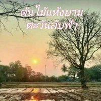 เสียงต้นฉบับ - ตะวัน ยามเย็นๆ