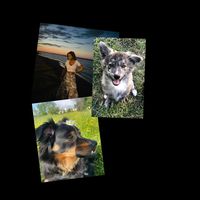 juliana80sofiaejonny