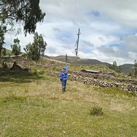 userhomaroseda